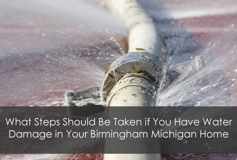 What Steps Should Be Taken if You Have Water Damage in Your Birmingham Michigan Home