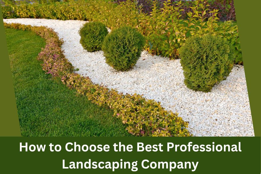 How to Choose the Best Professional Landscaping Company