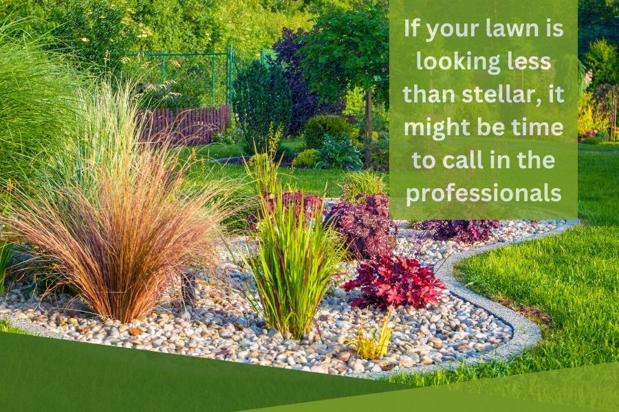 How to Choose the Best Professional Landscaping Company