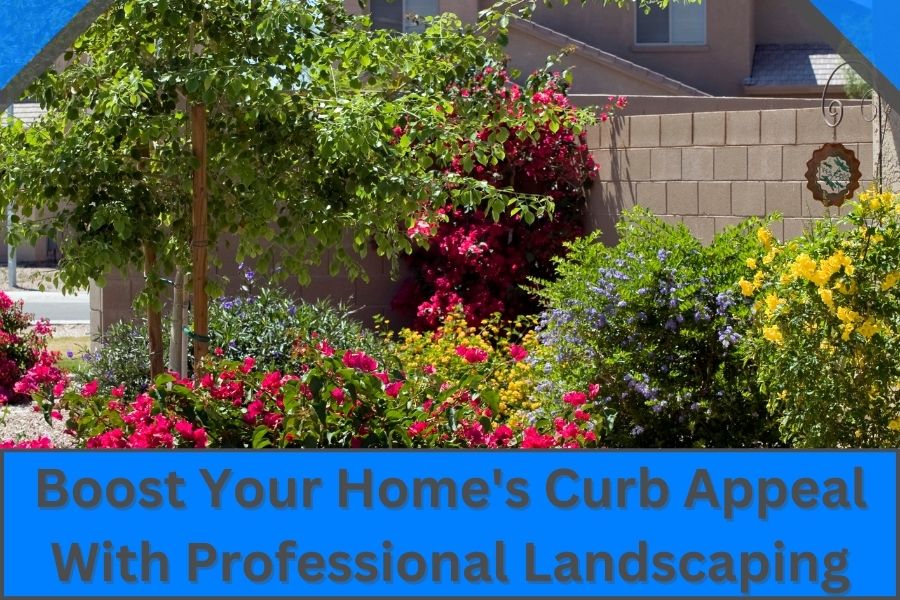 Boost Your Home's Curb Appeal With Professional Landscaping